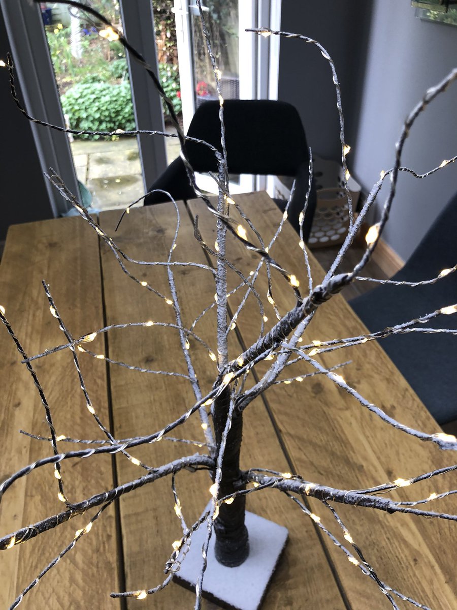 svdp_school's tweet photo. Our return to school will shortly be followed by #Lent which starts on #AshWednesday. Watch out for how our #LentenTreeofLight will be used during our #BeSpirited #OpenDoorThursday in Lent in the KS2 Hall from 8.30 #AllWellcome @RCWestminster @CathEdService https://t.co/14FWcyaYlx