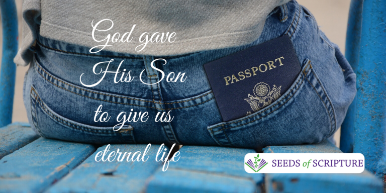 Cathy_Chung's tweet photo. I love God because He loved me first. He accepted me in spite of myself.
https://t.co/DldDI5ukIK
#SeedsofScripture @Cathy_Chung #salvation #trustGod #savedbygrace #heaven https://t.co/5ntWtZ8MJe