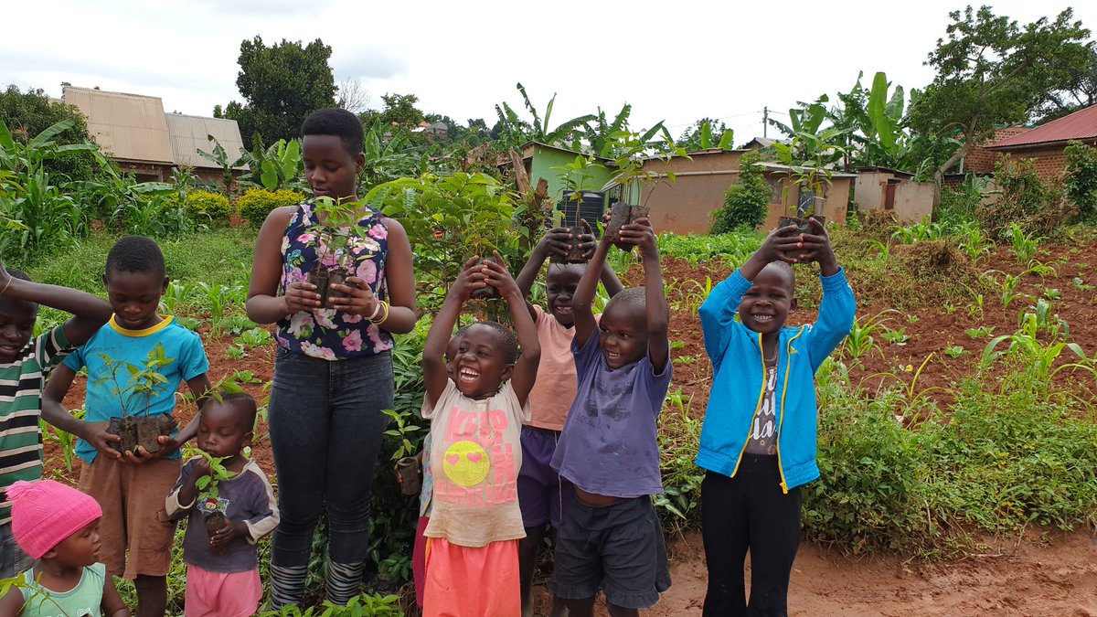 NamugerwaLeah's tweet image. On top of activism I started #Birthdaytrees project to walk my talk. I plant trees for people who choose to celebrate their birthdays by planting trees and I also give out free tree samplings. 
Let&apos;s save Uganda from losing all its forest cover.