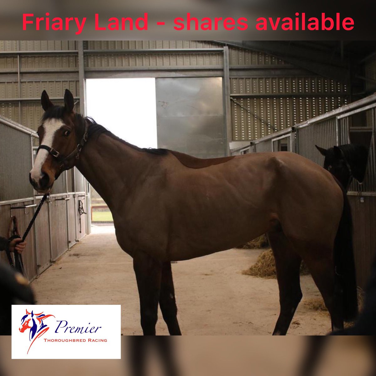 We are delighted to have acquired Friary Land to go into training with @O_J_murphy91! Shares are available from as little as £16.35/week! Get in touch with the team for more information - info@pt-racing.co.uk #RacehorseOwnership