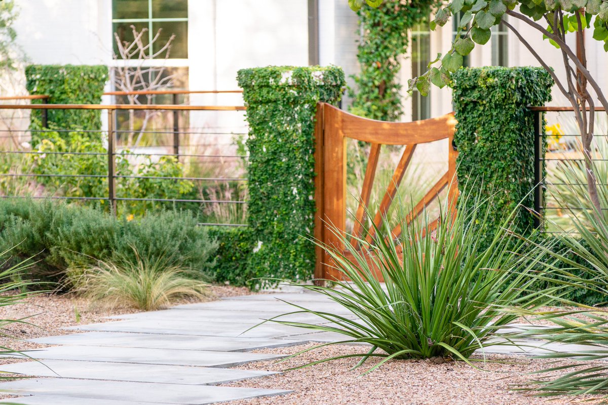 eden_garden's tweet photo. Daily Dose of Landscape/Garden Inspiration from Eden Garden Design Projects

#nativeplants #architecture #gardendesign #outdoorliving #landscapearchitecture #outdoordesign #austingardens #gardenlove #texasliving #womanowned #landscapedesignbuild #femalecontractors https://t.co/y2SNshnxnR