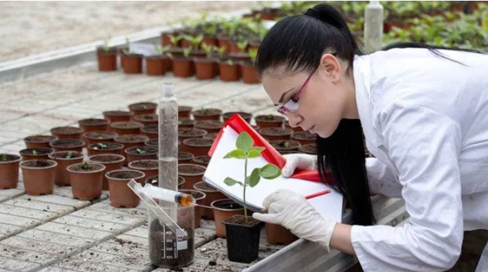 Universidad UNAD tweet media