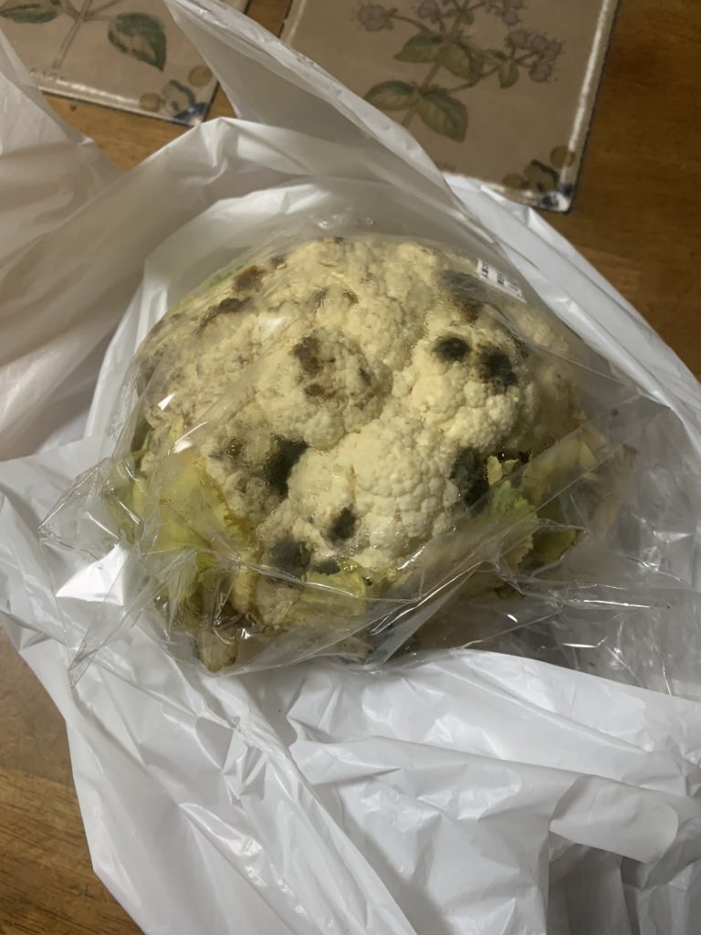 めちゃくちゃ酔っ払った帰りにメロンパンが食べたくなったので 買って帰ったら茹でて食べるタイプのメロンパンだった Togetter