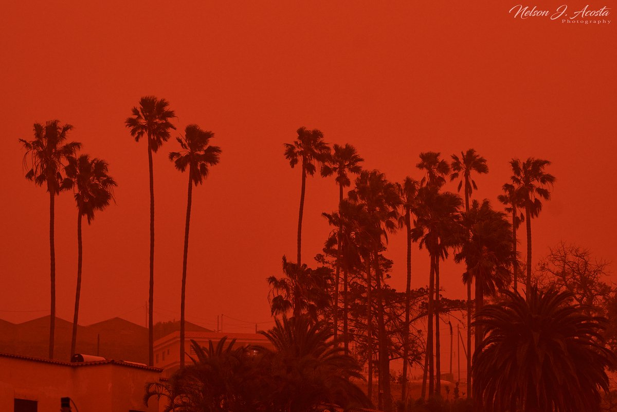 Atardecer de sangre este domingo, con efecto de la calima, así ha sido la puesta de sol de este domingo en el norte de Tenerife