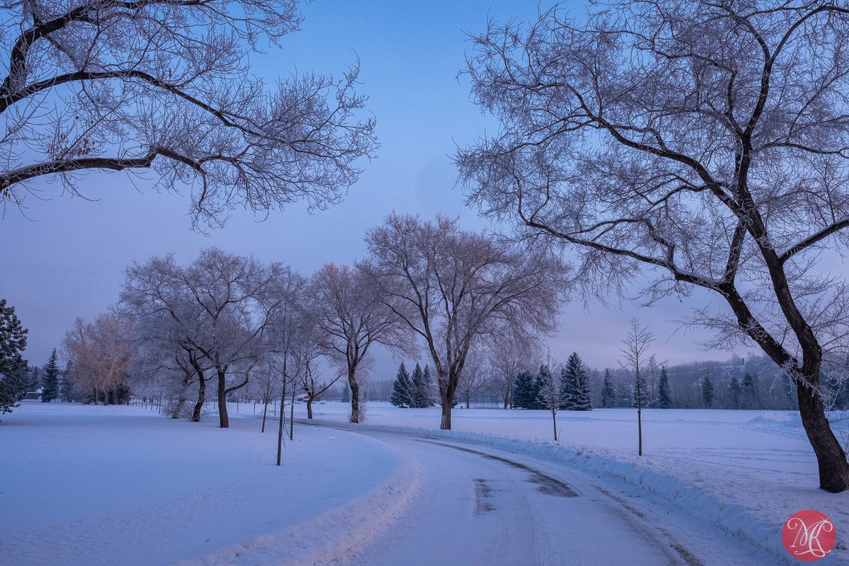 Beautiful winter morning in Rundle Park..
#yeg #alberta #winter #frost <a href="/ExploreEdmonton/">Explore Edmonton</a> #morning