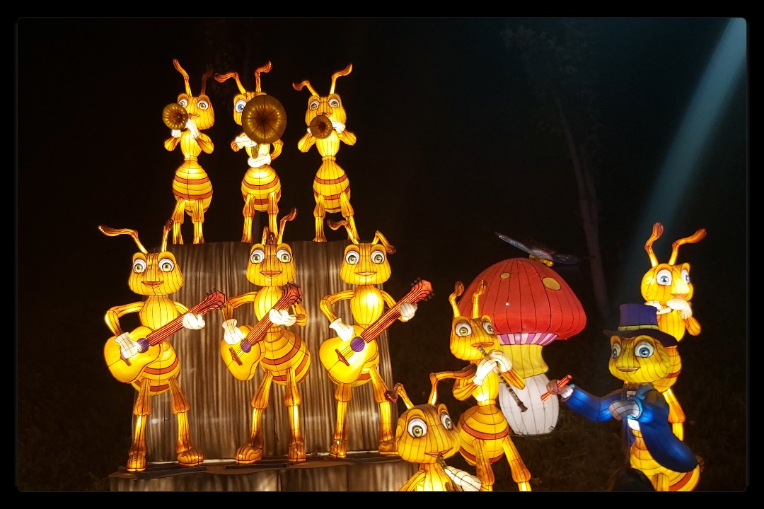 MichelleIsab3l's tweet photo. @fesiluz #fesiluz #fesiluzchile #culturachina #周六 https://t.co/O6Q6CyOEvX