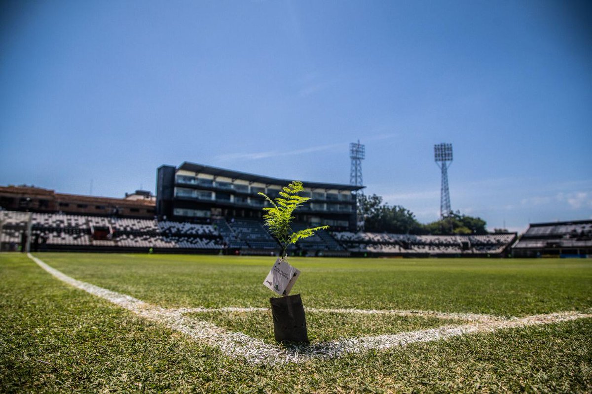 Hoy entregaremos más de 1.000 arbolitos, que equivalen a una cancha de fútbol, a los hinchas en el Superclásico. De esta manera iniciamos nuestra alianza con <a href="/atodopulmonPY/">A Todo Pulmón Paraguay Respira</a>, porque juntos apostamos por nuestro planeta.

Jugá online. Apostá por el medio ambiente.