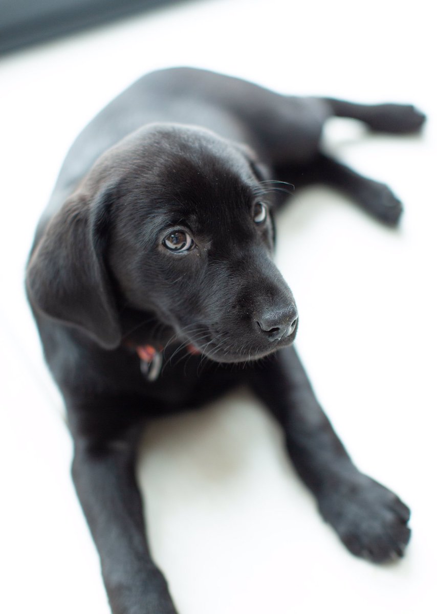 Julia Lake RN tweet media