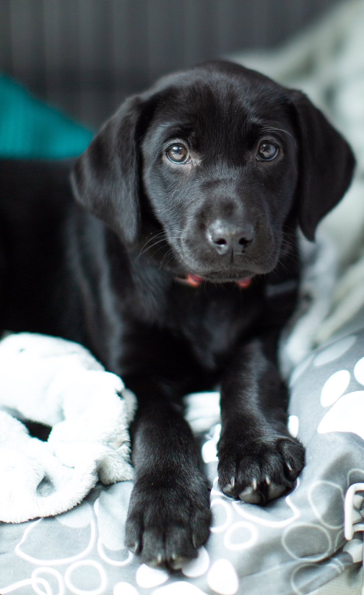 Julia Lake RN tweet media