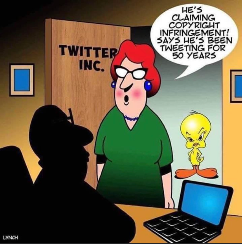 Tim Gallagher tweet media