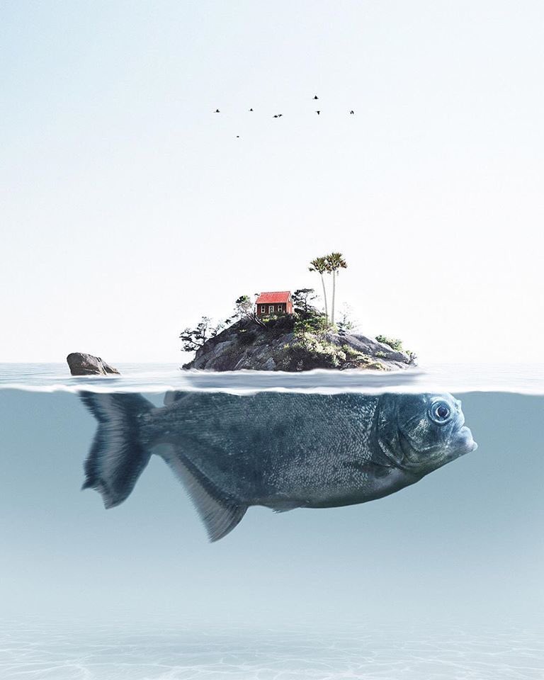 franch_laura's tweet photo. Se llama Jabid Arsalan, es de Bangladesh y hace unos fotomontajes surrealistas interesantes. 

Poco más he averiguado de él...

Ver más👇🏻 https://t.co/w3we6zBAdU