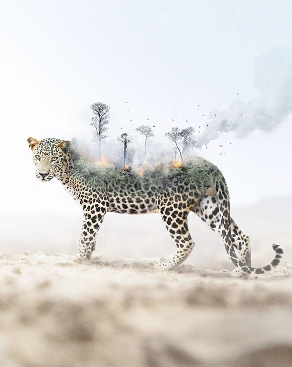 franch_laura's tweet photo. Se llama Jabid Arsalan, es de Bangladesh y hace unos fotomontajes surrealistas interesantes. 

Poco más he averiguado de él...

Ver más👇🏻 https://t.co/w3we6zBAdU
