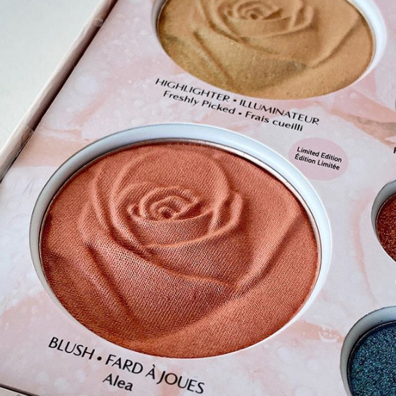 rose all day blush