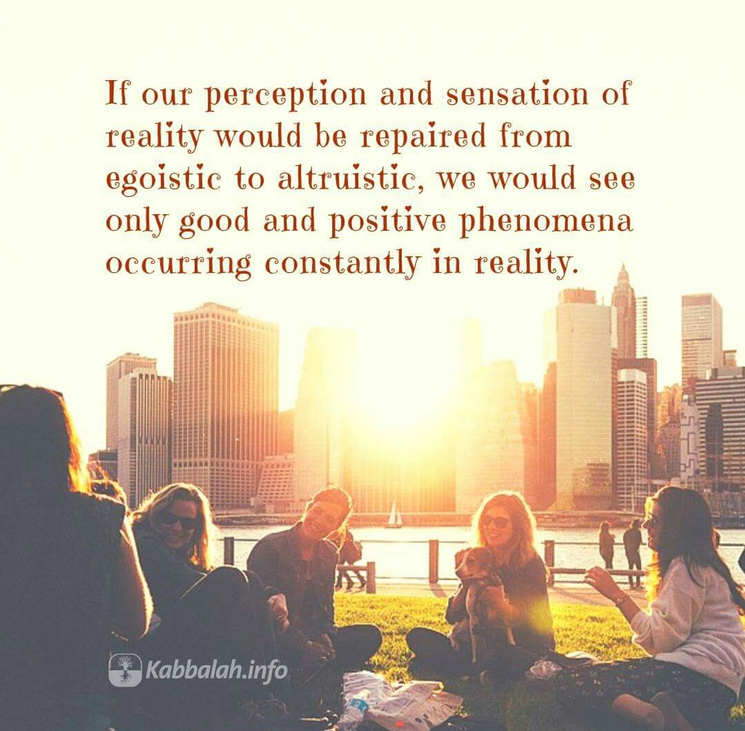 MAXICOY🐶💚 tweet media