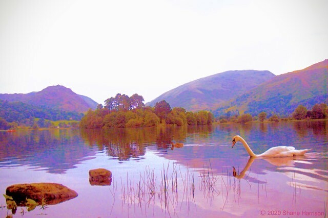 ShaneH1979photo's tweet photo. Swan Lake (Peak District)
Prints available. Many sizes. Just message.
#art #photoart #photoedit #photo #photography #artist #artistic #artistsoninstagram #impressionism #pre-raphaelite #colour #colourful #print #frame #printing #poster #picture #shanet… https://t.co/ad8gdcwhhm https://t.co/f9LonV23pE