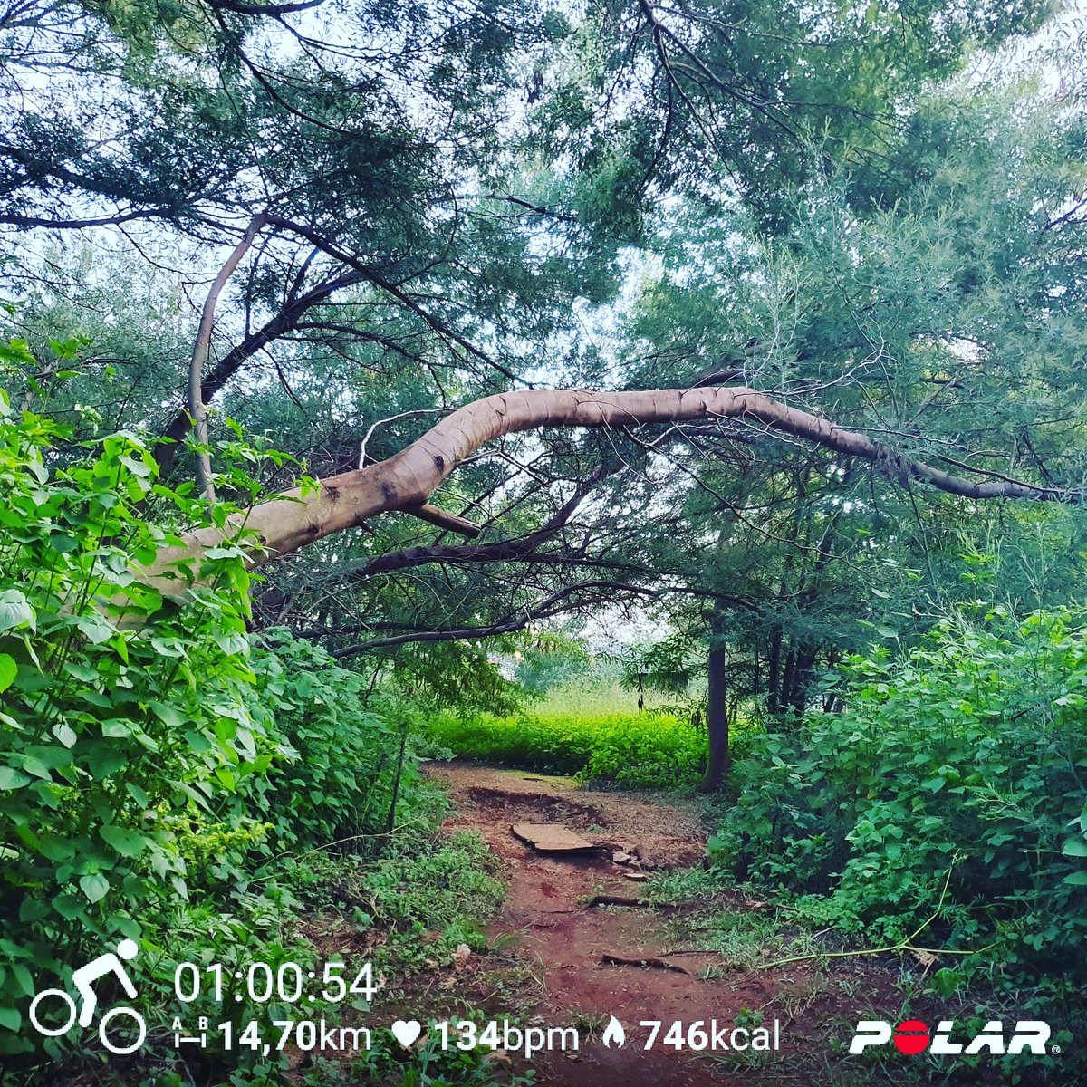 BLeXAFer1's tweet photo. Sunday Solo at Hobby Park.
#ButDidYouRide #KeepTheRubberSideDown #JoziCyclingClub #Cycling #Strava #MTB #MountainBiking #Ride #Zwift #UCI #Road #CycleOps #IDT #GCN #GMBN #SingleTrack #JeepTrack #Technical #HobbyPark #Noordheuwel #Rangeview #Krugersdorp #TitanRacingCompany https://t.co/NiwRerFrD6