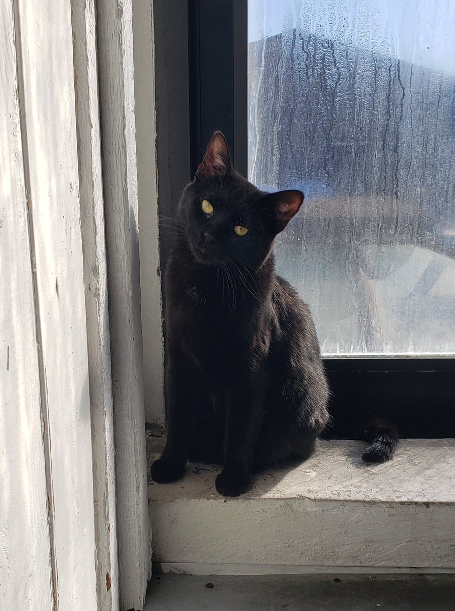 entirely obsessed with her