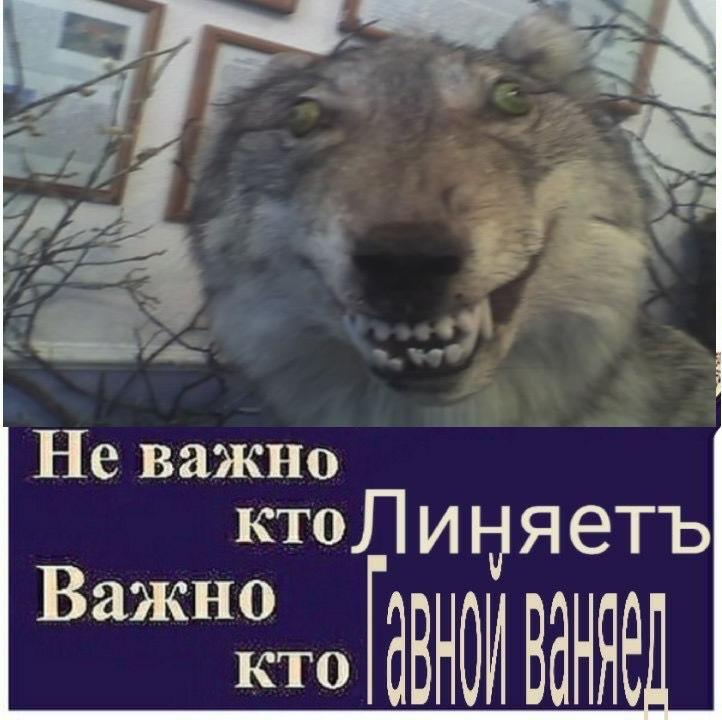 ERe9LSjWkAQW23G?format=png&name=900x900