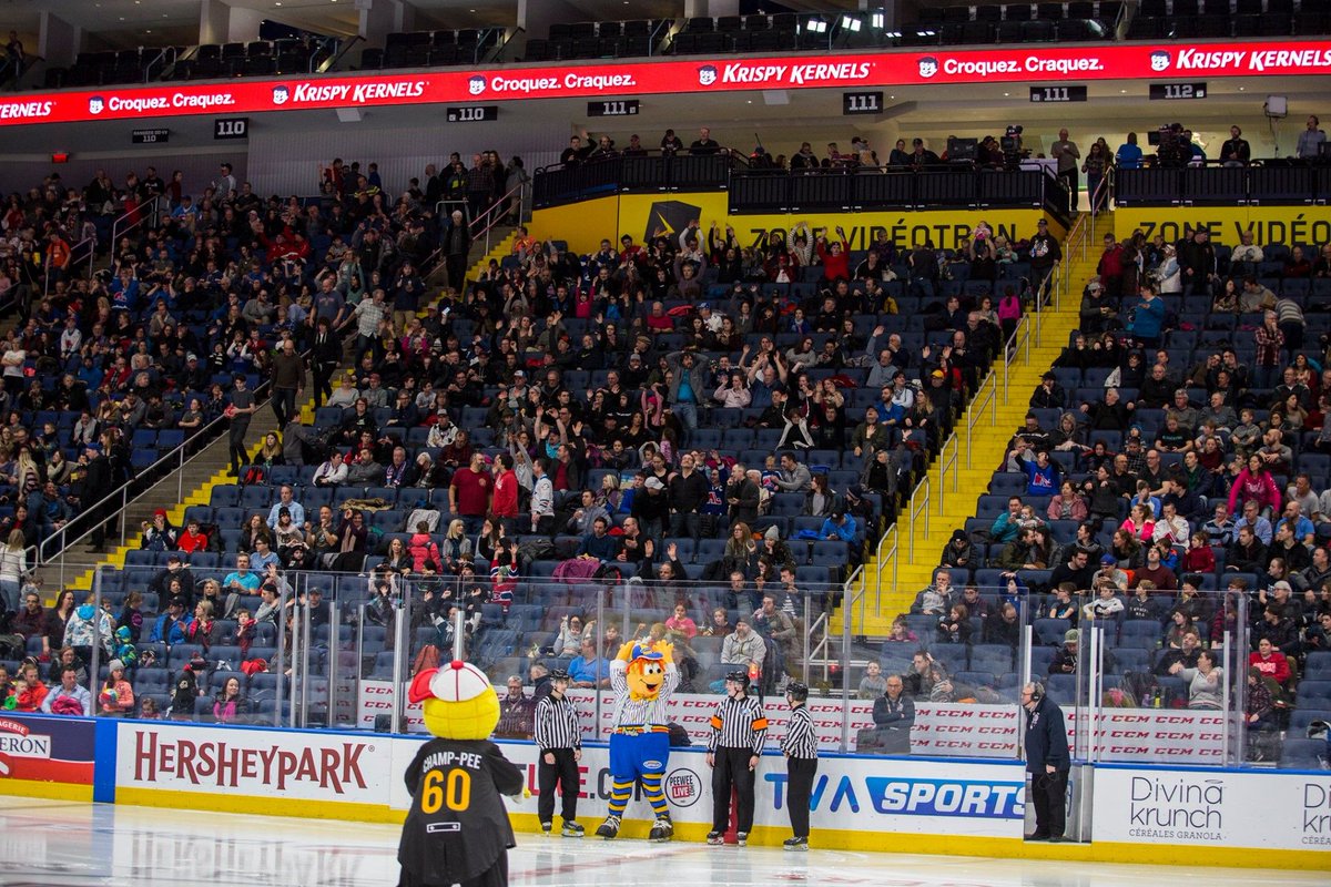 C'est la dernière journée de la 61e édition du <a href="/tournoipeewee/">Pee-Wee Quebec</a>. 

Félicitations à tous les participants, bénévoles et responsables de faire de cet événement un succès!