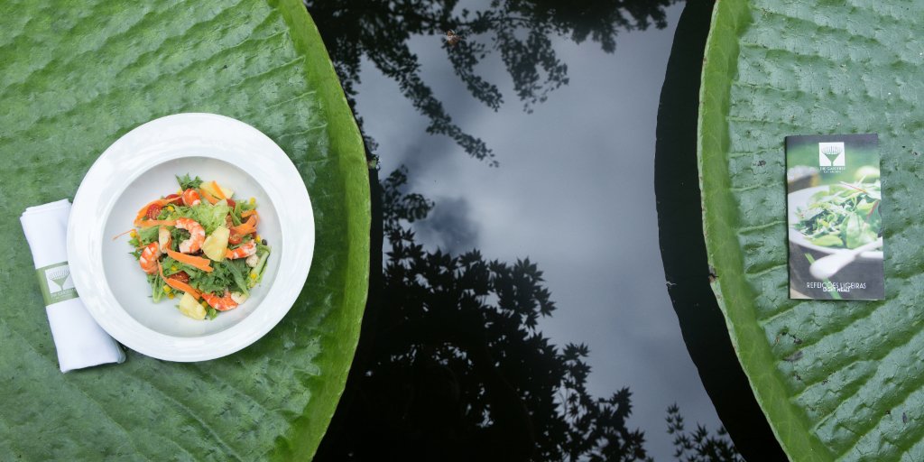 BensaudeHotels's tweet photo. Take care of yourself and let us take care of your well-being.

#BensaudeHotelsCollection https://t.co/1gMn8lYG5c