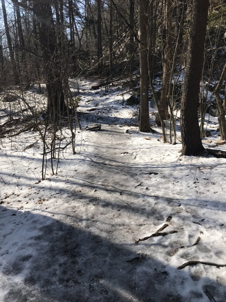 TrevorsWeather's tweet photo. I went on a hike today. For <5 minutes. As I struggled to stand up, a woman passed me with chains on her boots and said “good luck”. Lol #imnotfromhere #bringmesummer https://t.co/Rns1sjZt1R