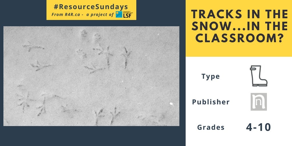 LSF_LST's tweet photo. Today's #ResourceSunday gets students OUTDOORS: "Tracks in the snow...in the classroom" has students examining nearby areas for animal tracks! (Identification key included) Fingers crossed for a fresh snowfall! Take a look here: https://t.co/Rsnuh5eB9U https://t.co/Sp9DquH5z5