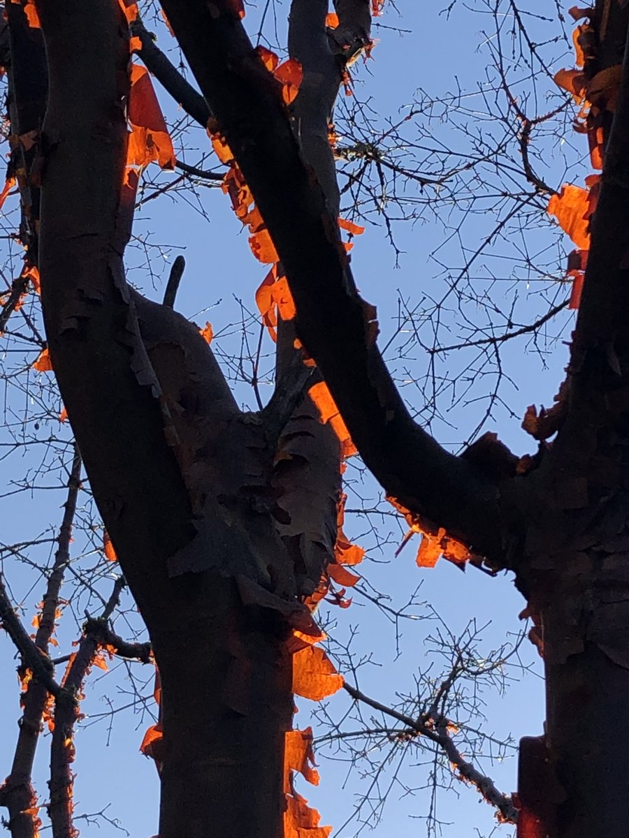 Warms my heart ❤️