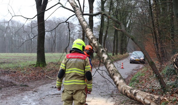 Boom op vallen; brandweer Lunteren komt in actie [LUNTEREN] Aan de Beukenlaan in Lunteren heeft de brandweer van Lunteren een boom die op vallen stond omgezaagd.
