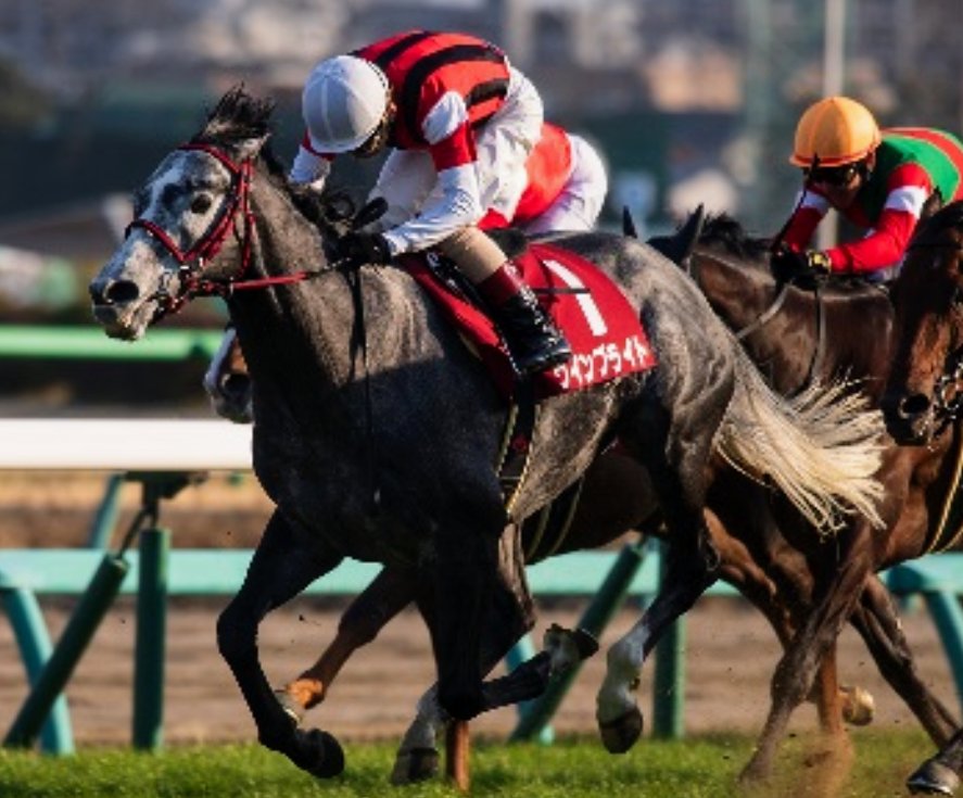 後方一気 坂路 調教de末脚炸裂 今週の競馬 天皇賞春ｇi 日曜京都 テレビ東京杯青葉賞ｇii 土曜東京 スイートピーステークスl 日曜東京 T Co 5d3o31x6ft Twitter