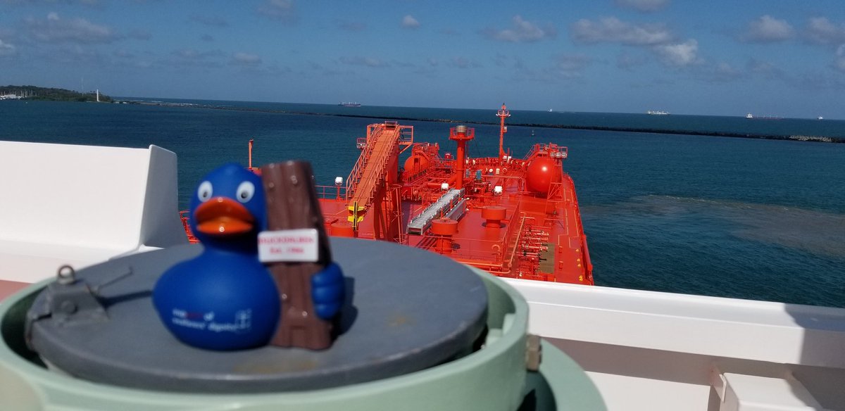 Themaritimepil2's tweet photo. This little friend made it across the Ocean to stay with us. It will make a few transits before it sits in a special spot in my living room.
It carries the message of "seafarers' dignity" from
@DSM_Nordkirche Thank you for everything, you are certainly great people.
#duckdalben https://t.co/Usqv2AhYto