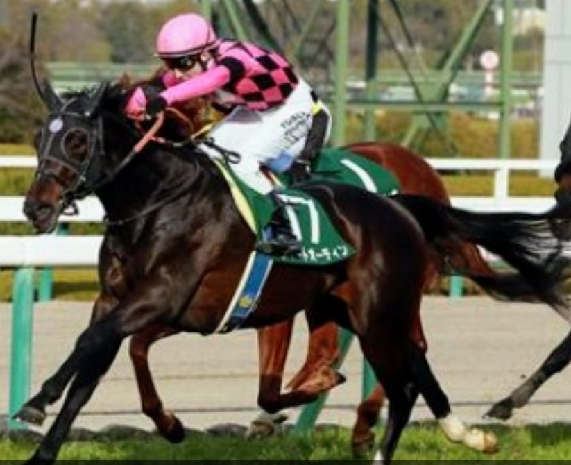 後方一気 坂路 調教de末脚炸裂 アメブロを更新しました 鎌倉ステークス 3勝クラス 結果 日曜東京準メインr 鎌倉ステークス 横山武史劇場の幕開けは13番人気という伏兵を逃げ切り2馬身差の完勝で波乱となった形から