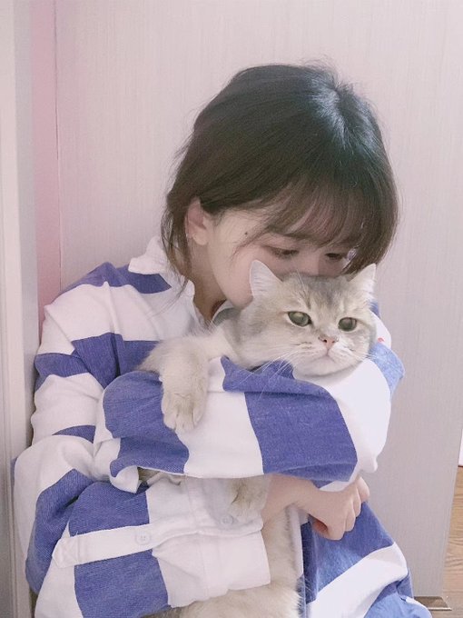 コスプレイヤー浅野菌子のTwitter画像76