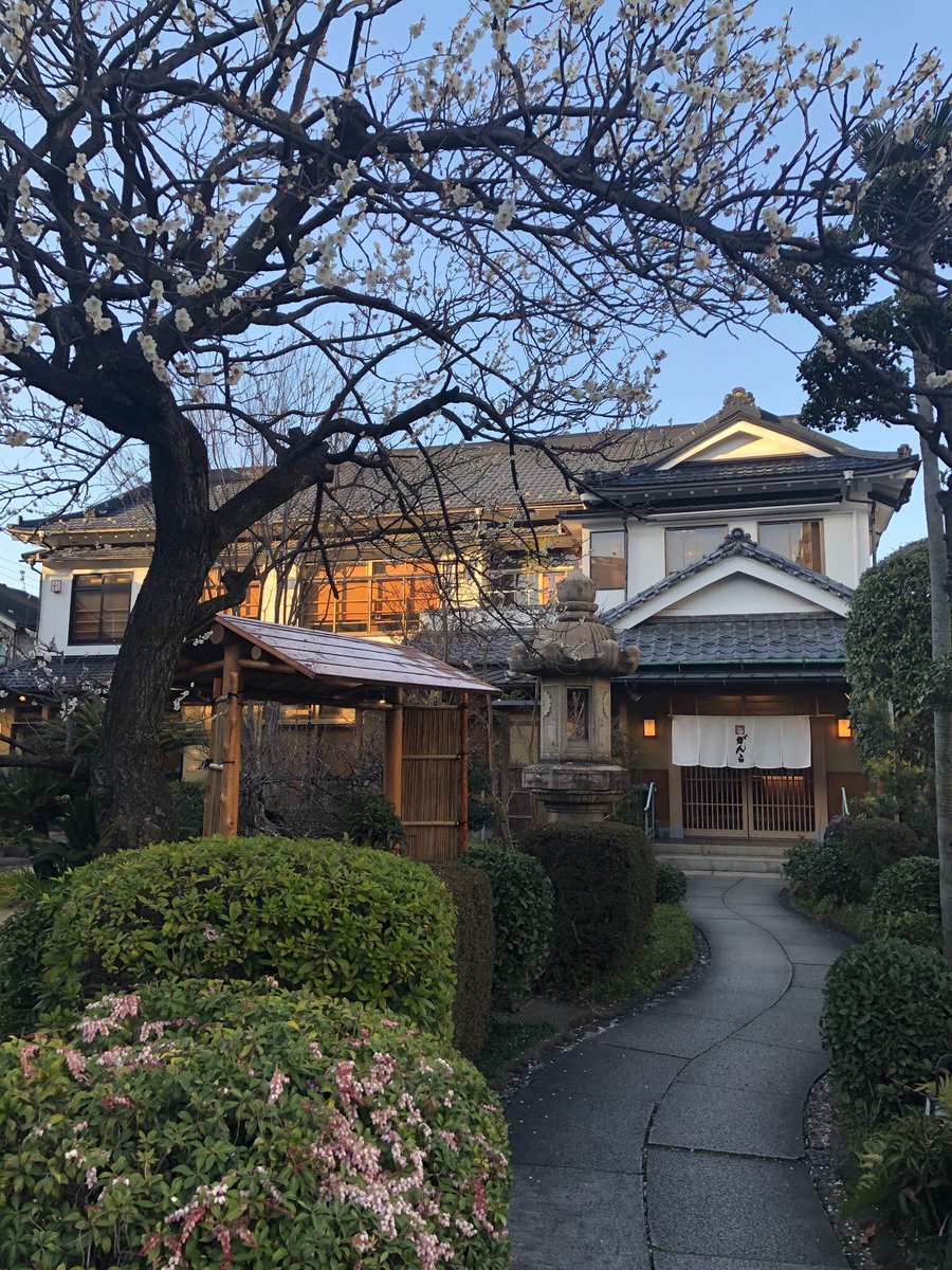 井嶋ナギ がんこ 新宿山野愛子邸 内装は店用に変えられてしまっている様子 大正ロマン風 とにかく日本庭園が凄いのと 歌舞伎町近くの雑踏からかなり距離のあるアプローチでやっとこさ門につく感じが 豪邸感 を感じさせて良い 新宿とは思え