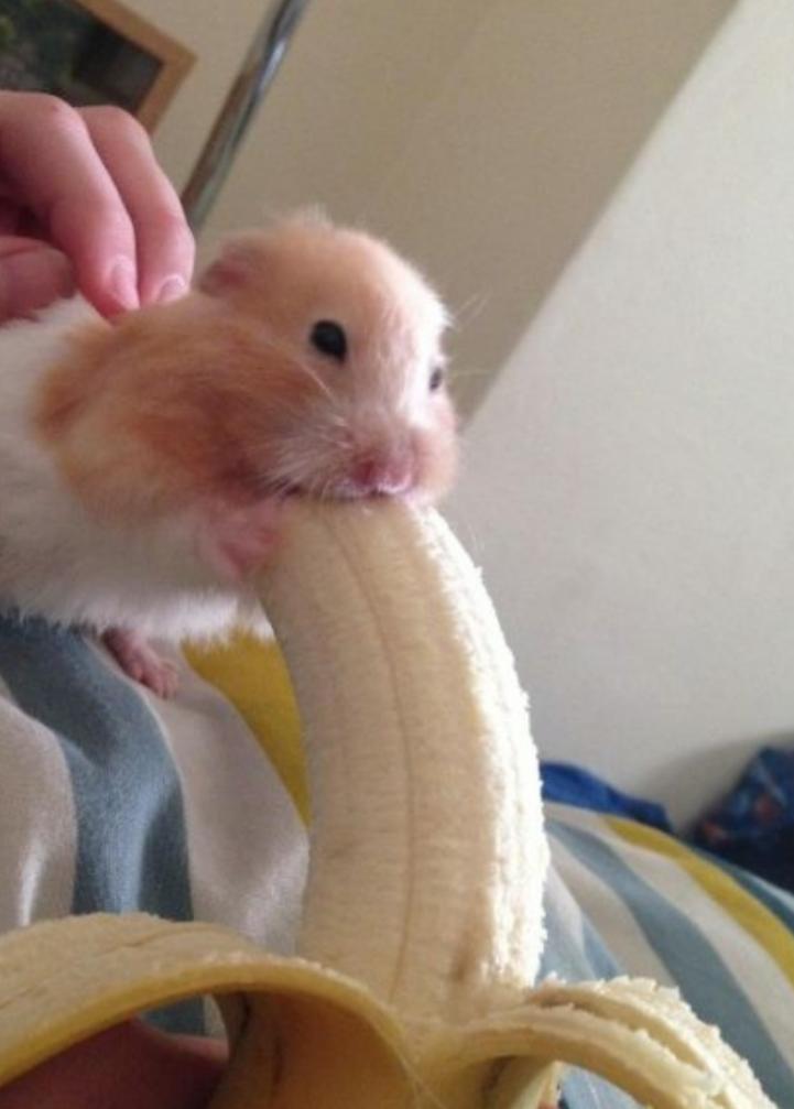 "@IceColdShortie with big buff guys like me in a nutshell."