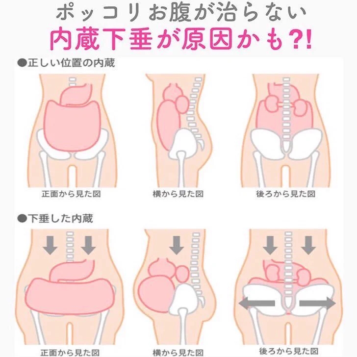 ポッコリお腹が治らないのは内臓下垂が原因！？そんな人にオススメなトレーニングがこれ！