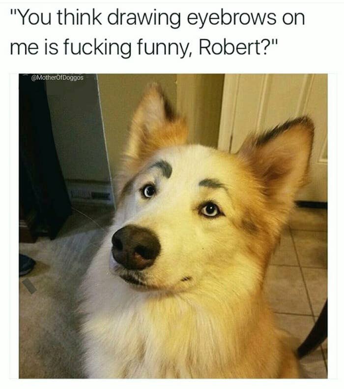 ellelljaytoo's tweet photo. #ItsAllFunUntil someone takes it a little too far.
D is for Dog, Robert.
And D is for Dignity, you ass!!! πππΎπΎ https://t.co/naIVmaZYwG