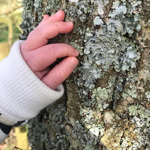 CDesignWild's tweet image. A morning at the computer designing logos and leaflets, followed by some sunshine and tree stroking with my little bee. Veg lasagne is next on the agenda, I love it when a Sunday comes together like this 💚 ift.tt/2Pf9LL1