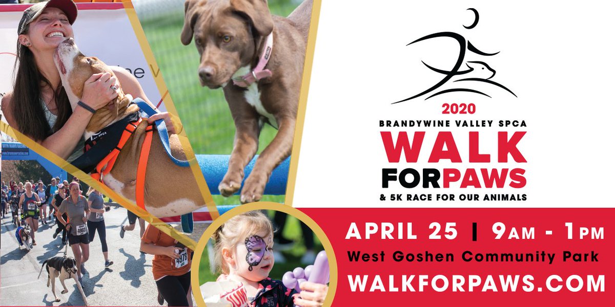 BrandywineSPCA's tweet photo. Weather warm-up means itโs time to register for Walk for Paws! Fun includes: interactive obstacle lure course for your dog; yoga w/puppies; inflatables & games for kids; food trucks, vendors, beer garden. Register: https://t.co/ucidEYIlmg #walkforpaws #sundayfunday https://t.co/YgqE0MHVYw