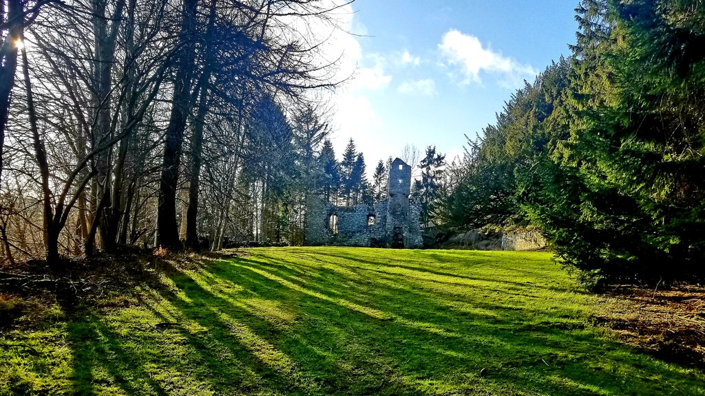blonde_on_bikes's tweet photo. Feels like spring when the sleet stops and the sun comes out☀️
#scottishborders #clovenfordspaths #snowdrops #torwoodleetower #galapaths #tweedvalley #sundaywalk https://t.co/09FMpszjm1