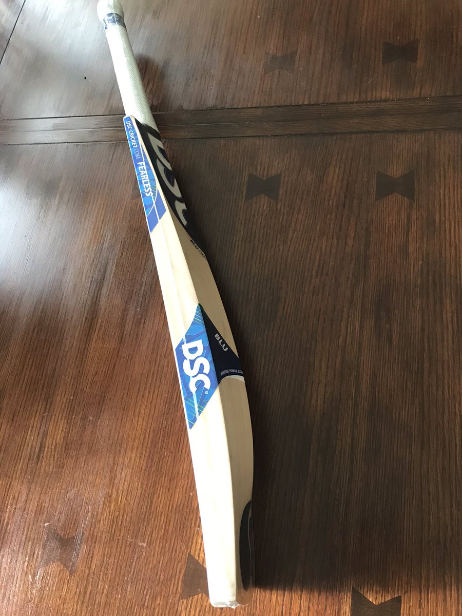 dsc blue bat