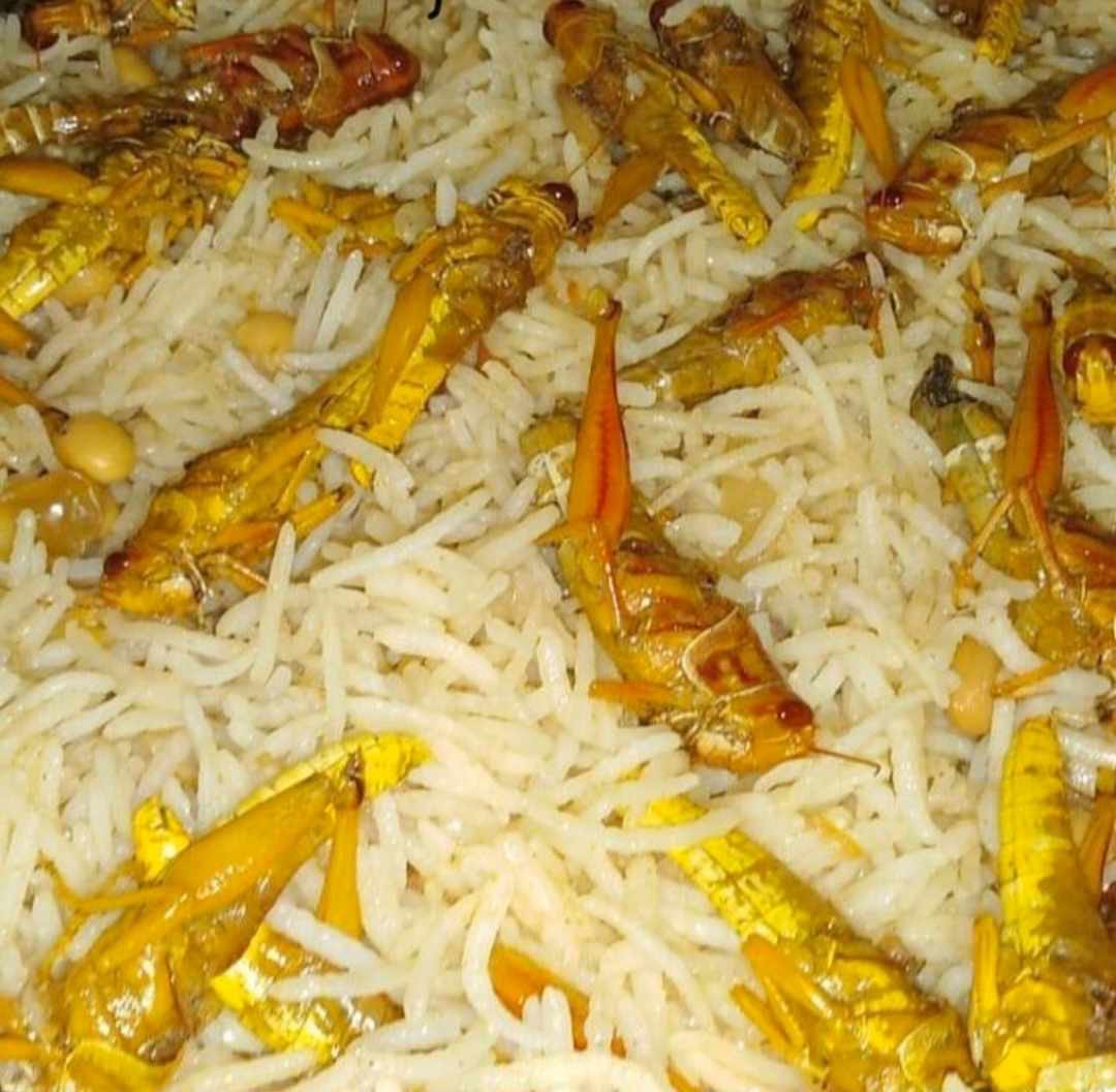 Artisan992's tweet image. When locust meet my regional borders...😂😂😂
#locust_war
#LocustInvasion 
#locupdate