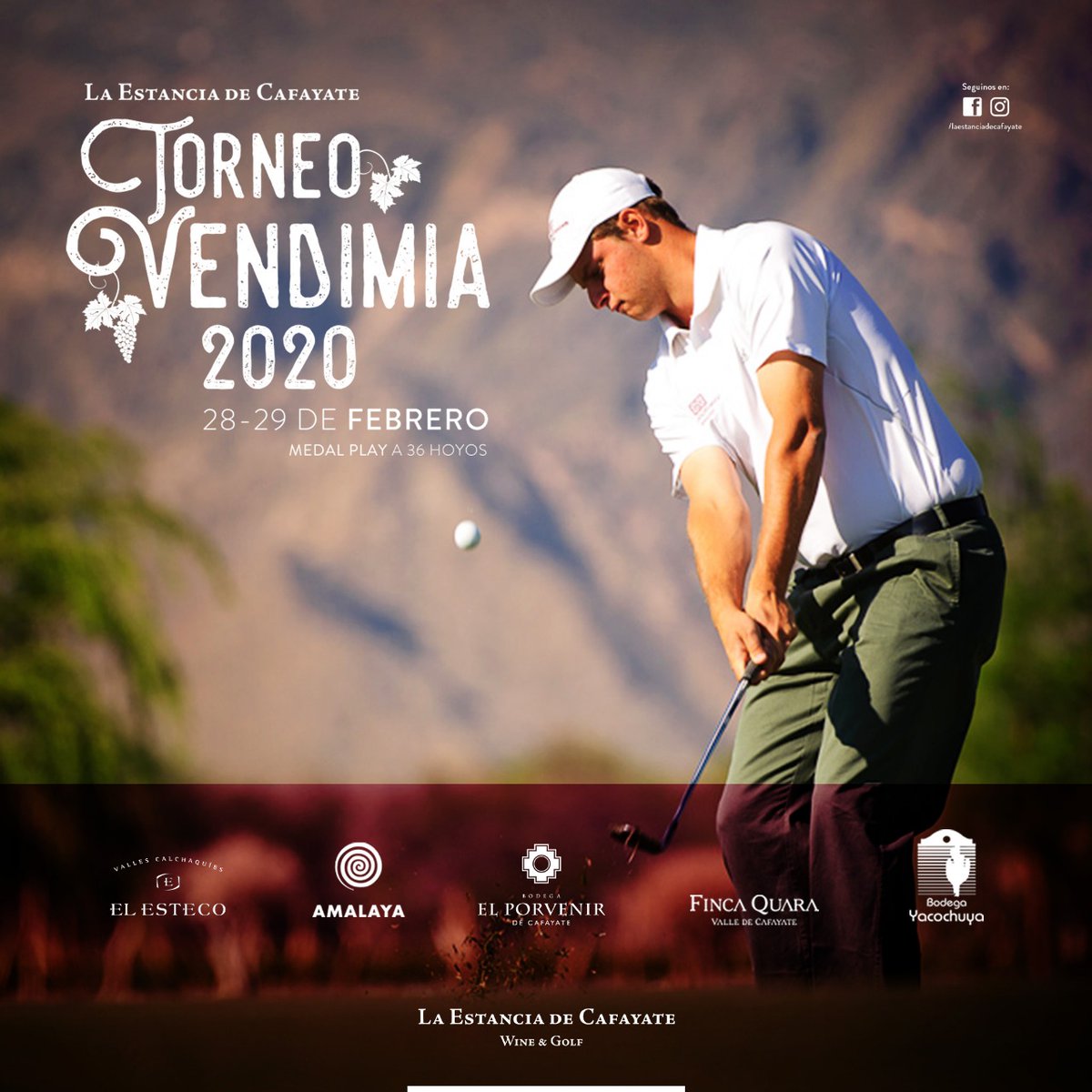 LECWineGolf's tweet photo. Se acerca el  Torneo Vendimia! A preparar el equipaje! It is time to Vendimia Tournament! Prepare your baggage! @porvenirwines @BodegaElEsteco  @AmalayaBodega @yacochuya @FincaQ https://t.co/dWzDApB2jX