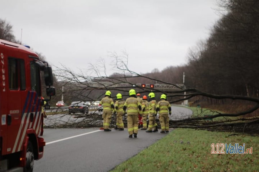 Lange file op A12 vanwege boom over rijbaan. 112Vallei.