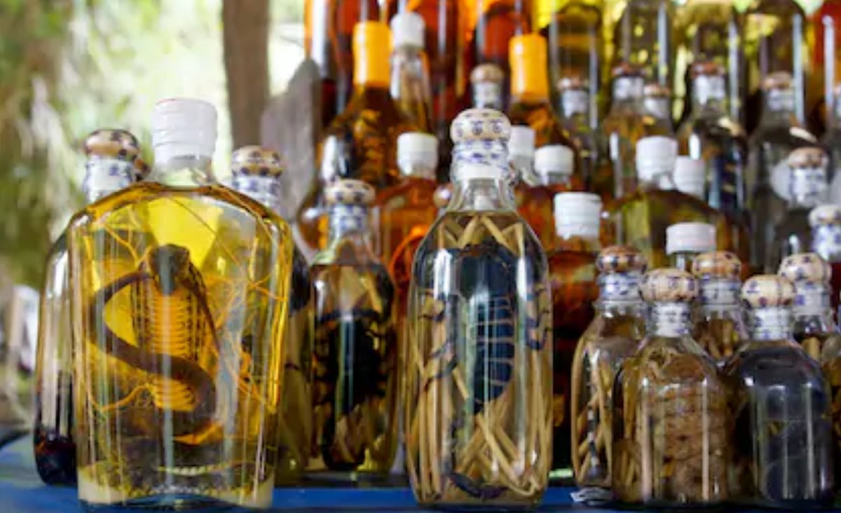NetpalSolutions's tweet photo. AMAZING FACTS OF THE 🌍🌎🌏

Ever heard of #Snake #Wine or Snake #Liquor? It’s not uncommon in #Southeast #Asia, and while it definitely sounds a bit creepy, it’s believed to enhance #vitality, #life, and other #health #benefits🧐🧐🧐
#VIETNAMFACTS
#FACTSOFTHEWORLD
#NetpalTravel https://t.co/uEITqki30M