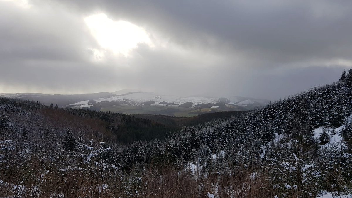 LAKEANDLOCH's tweet photo. Today at Glentress. 😍
.
.
.
#lakeandloch #mabit #mabitbeanies #glentress #glentressmtb #peebles #mtb #scotland #scotlandinsta #instascotland #ig_scotland #winterwonderland https://t.co/AcpG9OA5xy