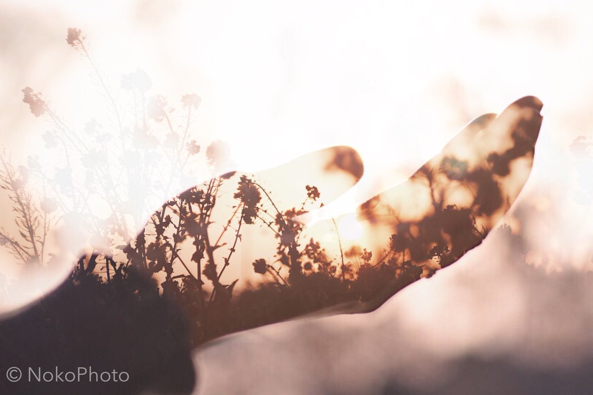 3月❤️企画参加窓口❤️
※参加者多数の為窓口一本化

大大大愛の輪お繋ぎ企画

参加者目標1000名
現在900名

一人あたり最低1000名
繋がれる場を作る🥺

皆で手を取り合って
フォロワー爆増計画🙋🏻‍♂️🙋🏻‍♀️❤️

参加条件
・このツイートRT
・リプで参加表明
・相互フォローOK
・<a href="/kagenoko9n/">。</a> フォロー

詳細続く👇