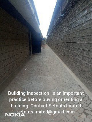 SetoutsLimited's tweet image. 