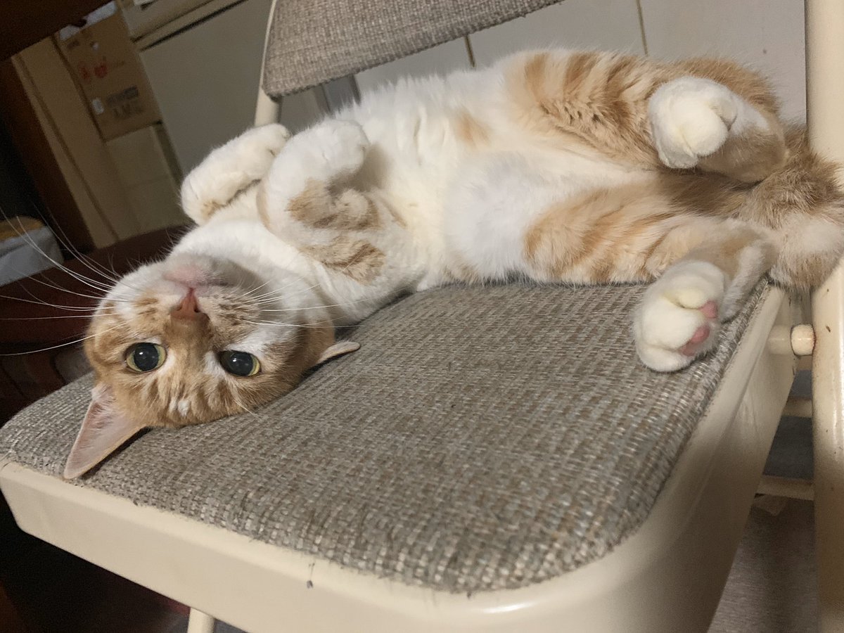 小坂 菜緒 実家