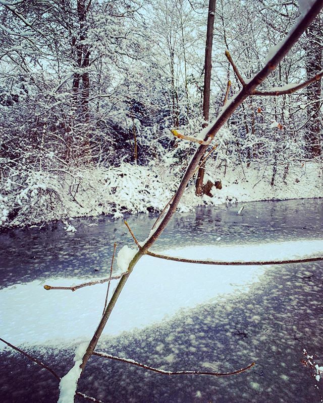MirjamNi's tweet photo. 🥶🥶🥶
•
•
#054_cold #picturethis365 #winter #winterlandscape #landscapephotography #landscape #winterwonderland #raw_seasons #snow #frozen #frozenstream #white #nature #naturephotography #raw_nature #hiyapapayaphotoaday #burgheimerzheim #raw_mobile… https://t.co/88155L8cNi https://t.co/iq3lZ39IrK