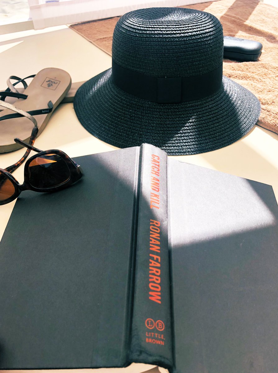 lisavanhattem's tweet photo. Beach day with @RonanFarrow https://t.co/hJg4jAQ9Is